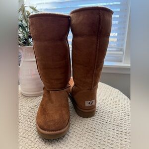UGG Chestnut Suede Tall Boots